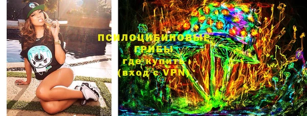 крисы Михайловск