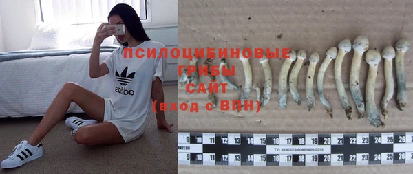 прущие крисы Михайлов