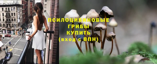 прущие крисы Михайлов