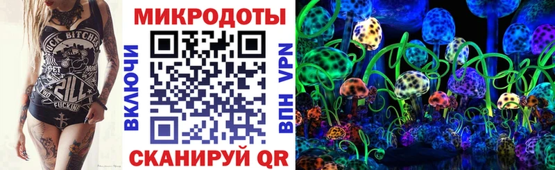 Псилоцибиновые грибы прущие грибы  Магнитогорск 